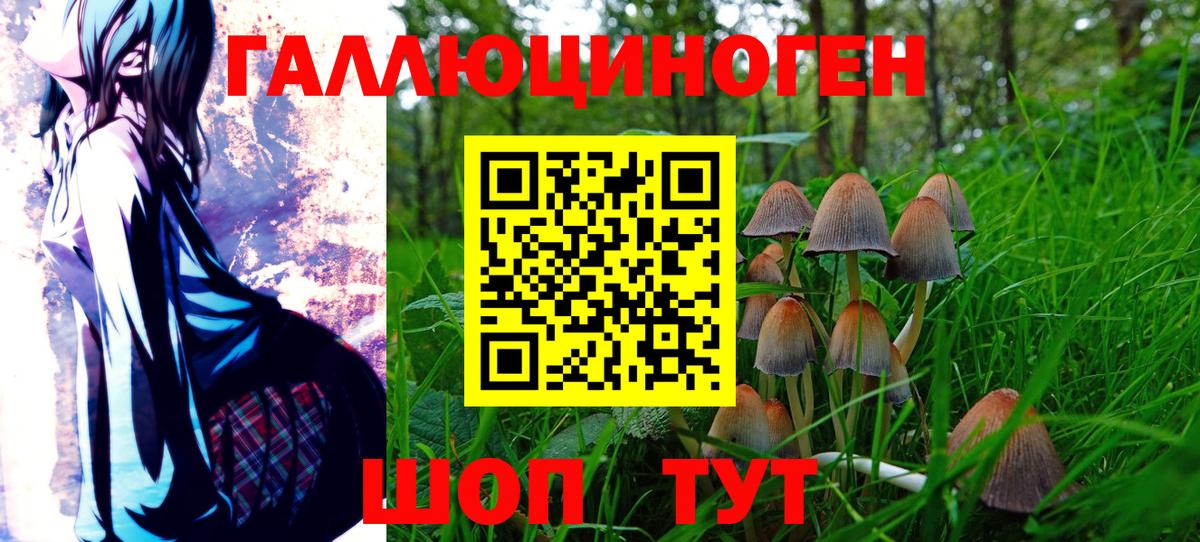 Гагарин  Псилоцибиновые грибы Cubensis  Вход с VPN 